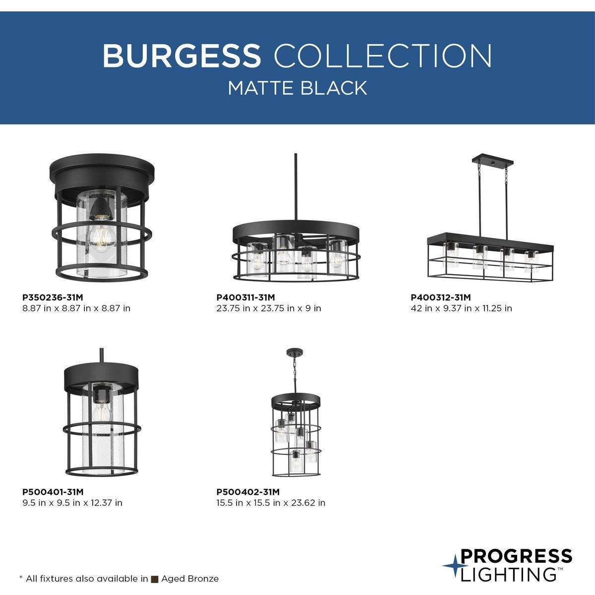 Burgess 1-Light Mini Pendant