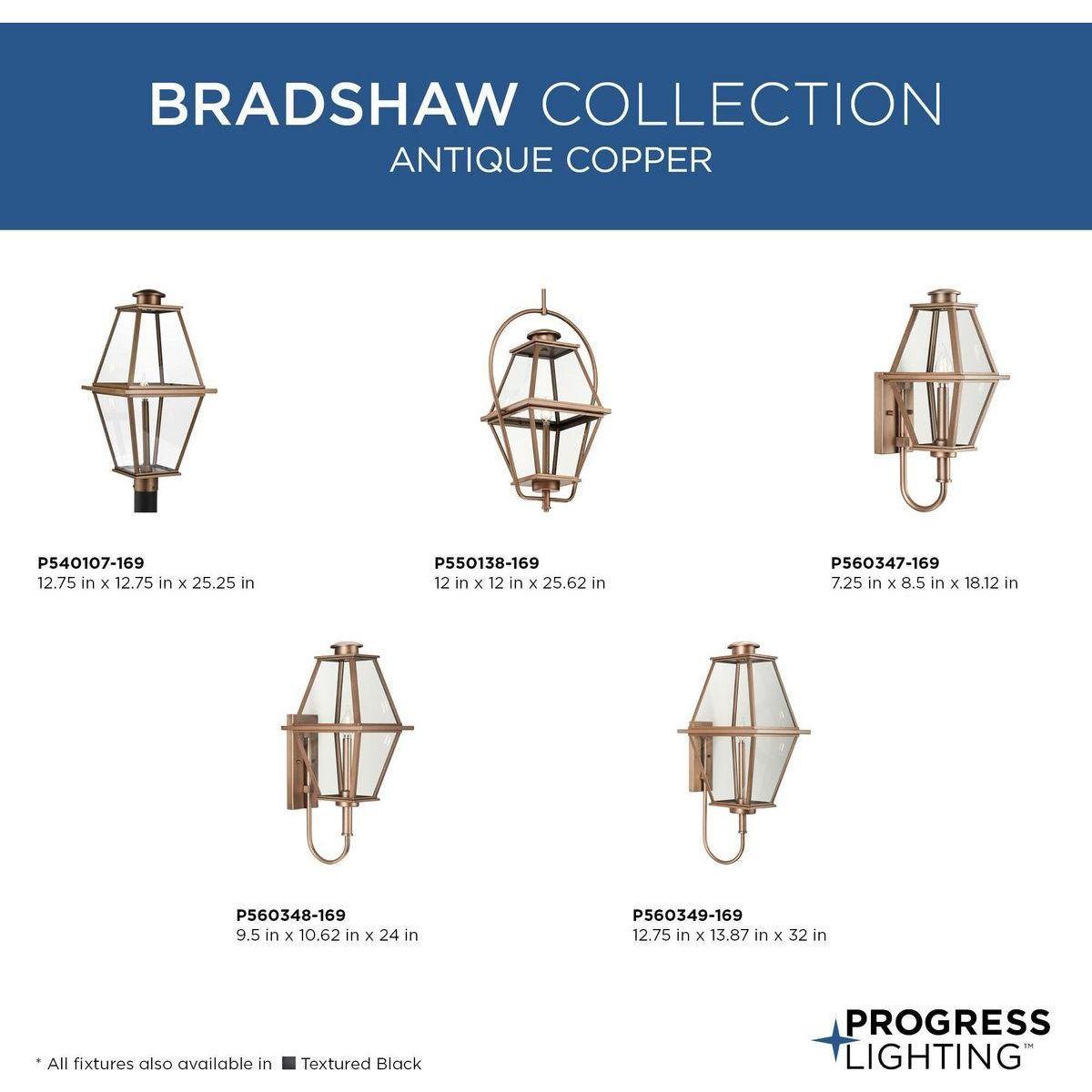 Bradshaw 1-Light Outdoor Wall Light