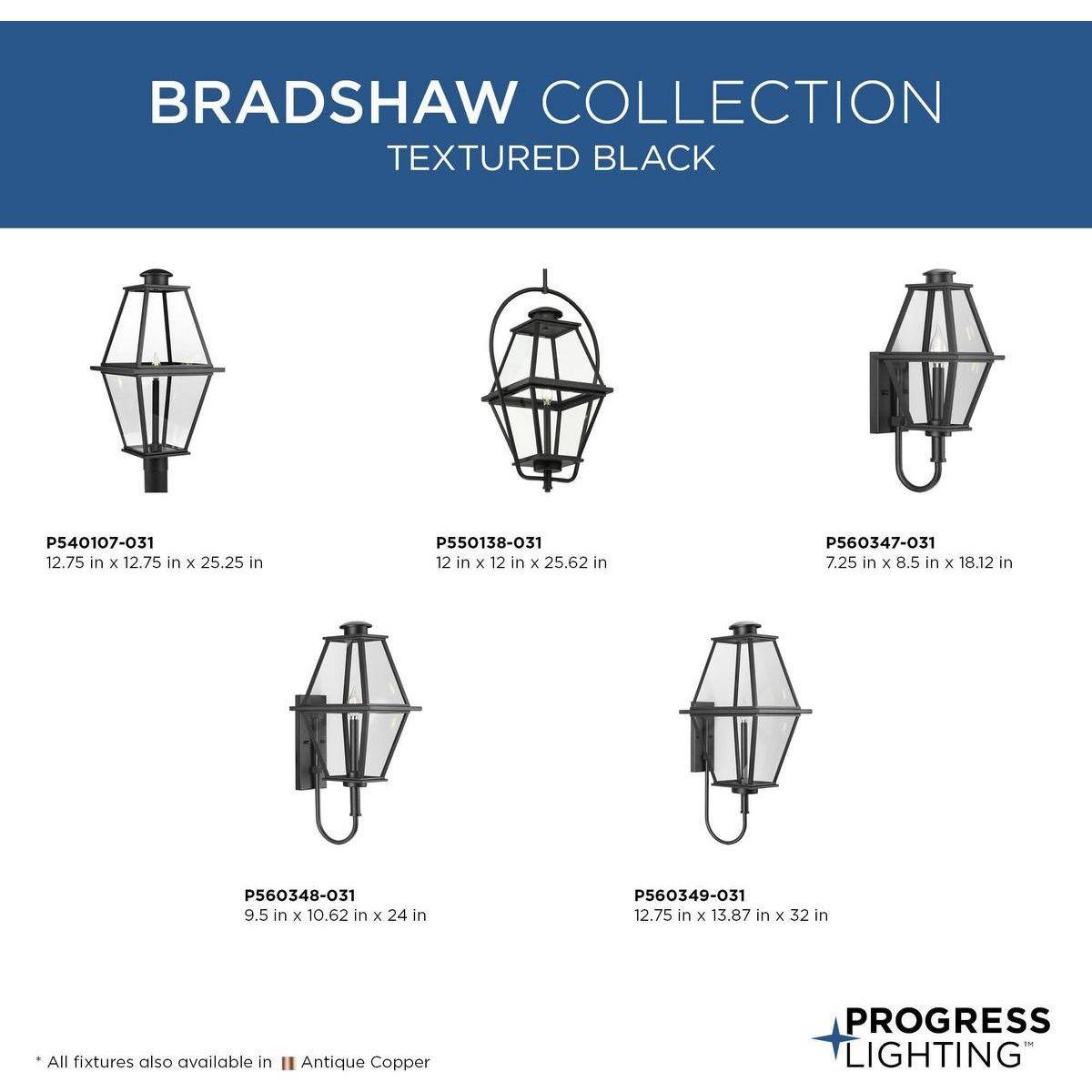 Bradshaw 1-Light Outdoor Wall Light