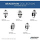 Bradshaw 1-Light Outdoor Pendant