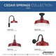Cedar Springs 1-Light Outdoor Post Light