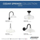 Cedar Springs 1-Light Outdoor Post Light