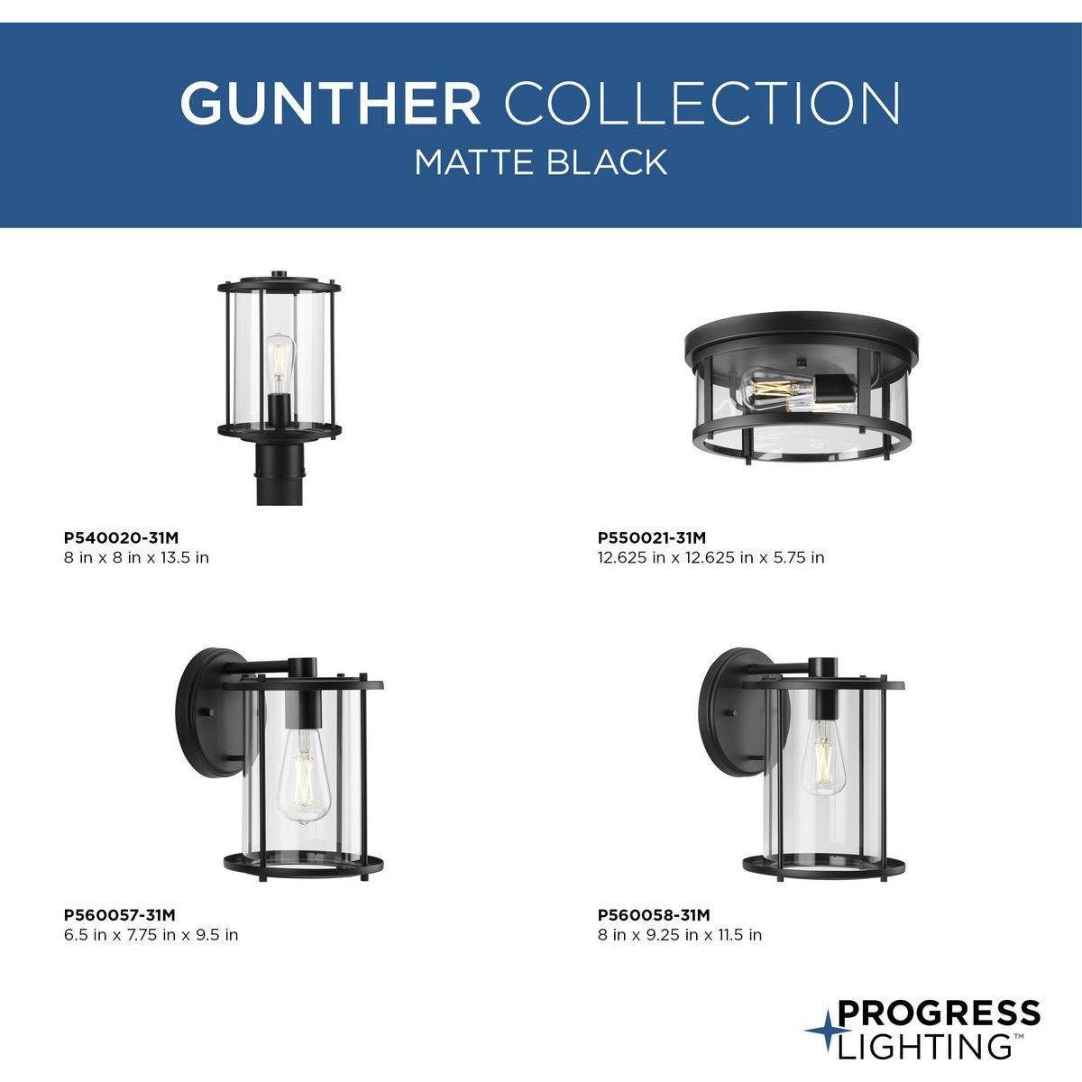 Gunther 1-Light Outdoor Post Light