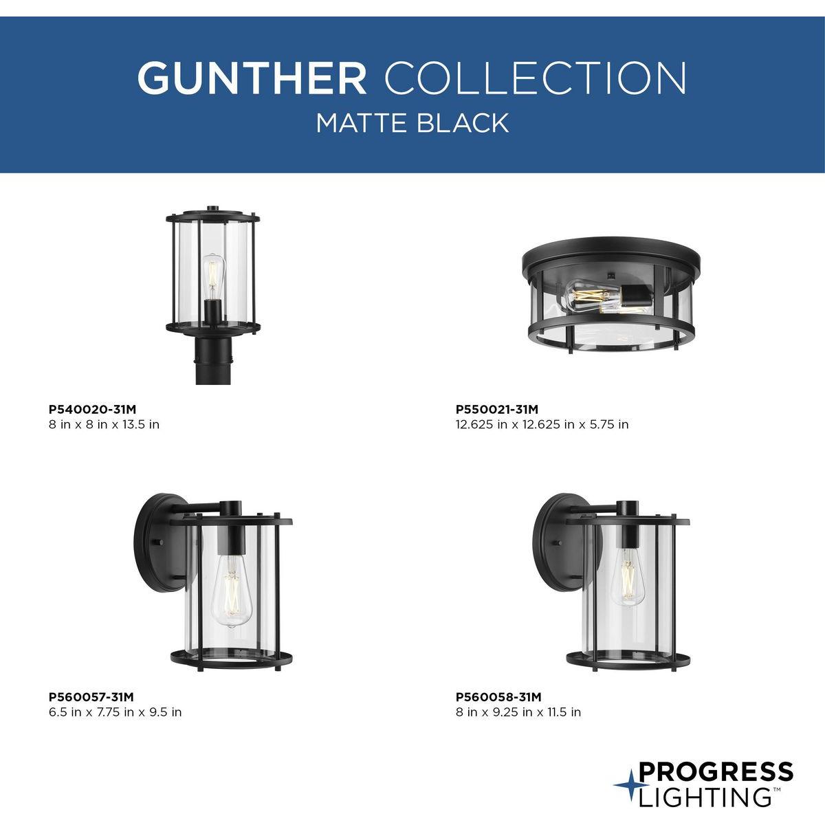 Gunther 1-Light Outdoor Wall Light