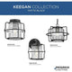 Keegan 1-Light Outdoor Flush Mount
