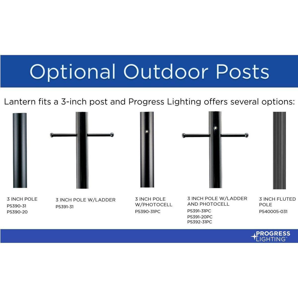 Gunther 1-Light Outdoor Post Light