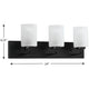 Merry 3-Light Bath & Vanity