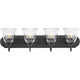 Clear Glass 4-Light Bath & Vanity