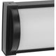 Barril LED 32" 1-Light Bath & Vanity