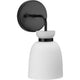 Lexie 1-Light Vanity Light