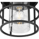 Burgess 1-Light Close-to-Ceiling