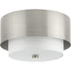 Silva 2-Light Close-to-Ceiling