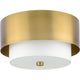 Silva 2-Light Close-to-Ceiling
