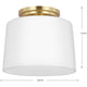 Adley 1-Light Close-to-Ceiling