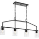 Goodwin 4-Light Island/Linear