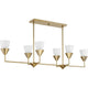 Pinellas 6-Light Linear Light