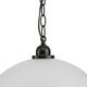 Classic Dome Pendant 1-Light Pendant