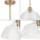 Singleton 1-Light Pendant