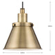Hinton 1-Light Mini Pendant
