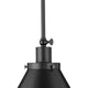 Hinton 1-Light Pendant