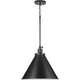 Hinton 1-Light Pendant