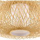 Cordova 1-Light Pendant