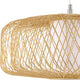 Cordova 1-Light Pendant