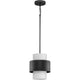 Silva 1-Light Pendant
