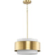 Silva 3-Light Pendant