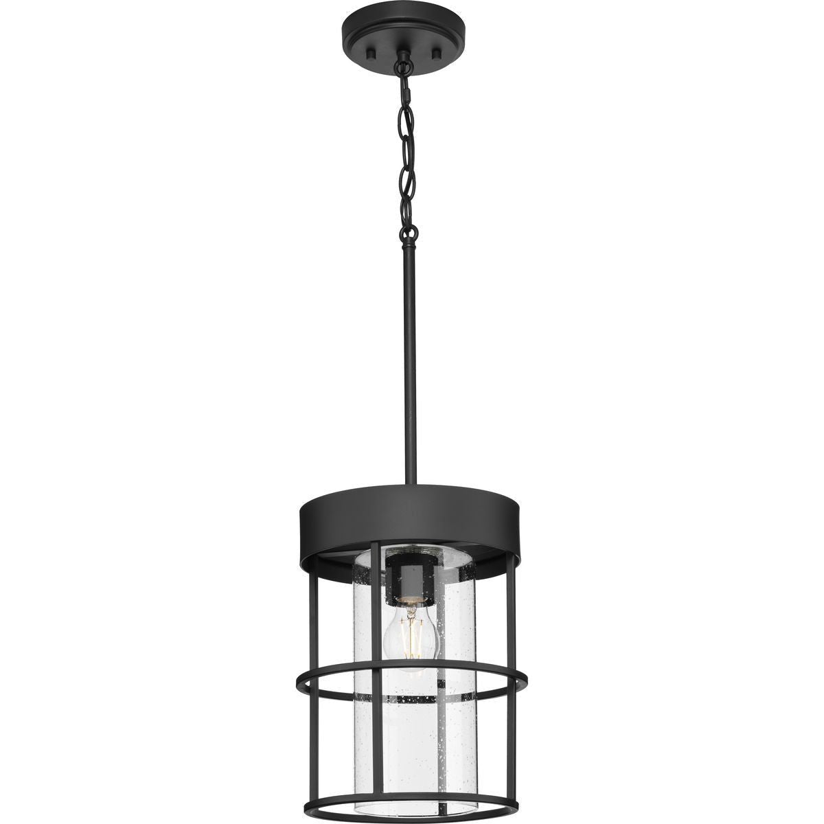 Burgess 1-Light Mini Pendant