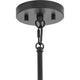 Goodwin 1-Light Mini Pendant