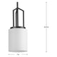 Goodwin 1-Light Mini Pendant