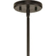 Saucedo 1-Light Pendant