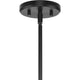 Saucedo 1-Light Pendant