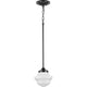 School House 1-Light Pendant