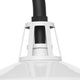 Cedar Springs 1-Light Outdoor Post Light