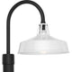 Cedar Springs 1-Light Outdoor Post Light