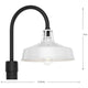 Cedar Springs 1-Light Outdoor Post Light