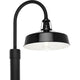 Cedar Springs 1-Light Outdoor Post Light