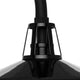 Cedar Springs 1-Light Outdoor Post Light