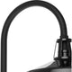 Cedar Springs 1-Light Outdoor Post Light