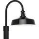 Cedar Springs 1-Light Outdoor Post Light