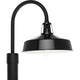 Cedar Springs 1-Light Outdoor Post Light