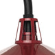 Cedar Springs 1-Light Outdoor Post Light