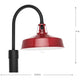 Cedar Springs 1-Light Outdoor Post Light
