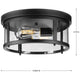Gunther 2-Light Outdoor Flush Mount