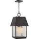 Point Dume - Hook Pond 1-Light Outdoor Pendant