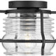 Keegan 1-Light Outdoor Flush Mount