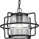 Keegan 1-Light Outdoor Pendant
