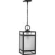 Parrish 1-Light Outdoor Pendant